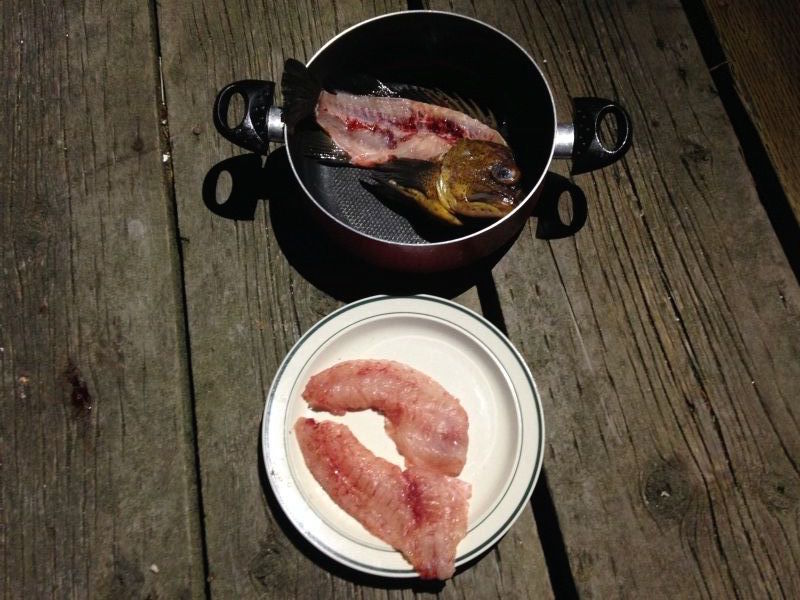 骨はスープに。肉はムニエルに。鱈の味に近いが、もっと柔らかい。